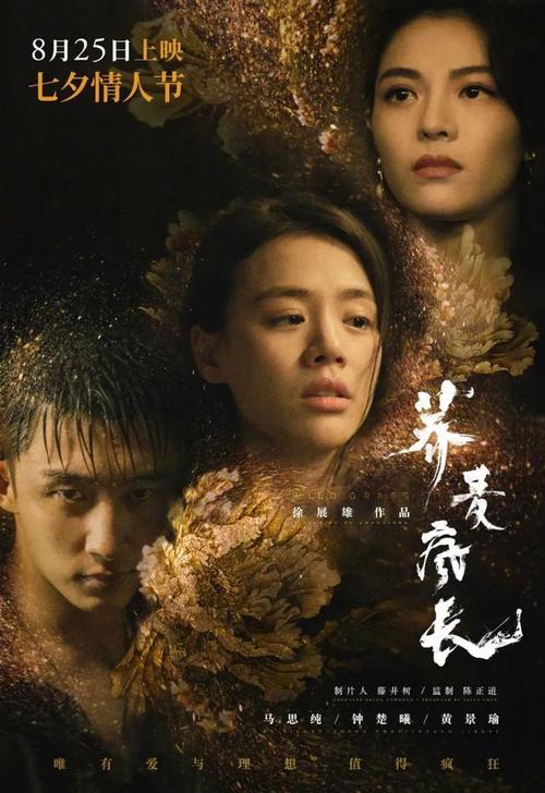 怎么买假的芳邦大学成绩单